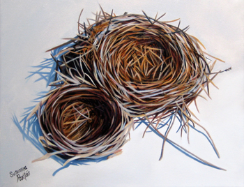 Contemplation: Kindred by Susanna Pantas